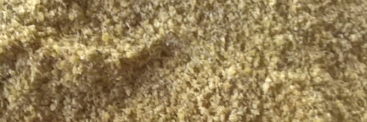 coco piccola...